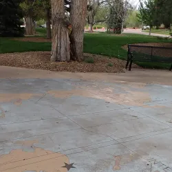 Bega Valley Botanic Gardens - Bega NSW