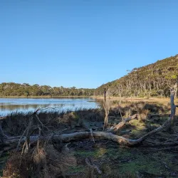 Mimosa Rocks National Park - Bega NSW