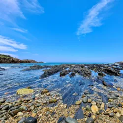 Mimosa Rocks National Park - Bega NSW