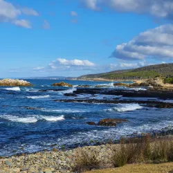 Mimosa Rocks National Park - Bega NSW