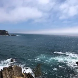 Mimosa Rocks National Park - Bega NSW