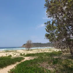 Mimosa Rocks National Park - Bega NSW