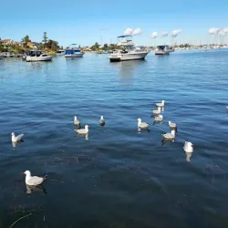 Belmont Baths - Belmont