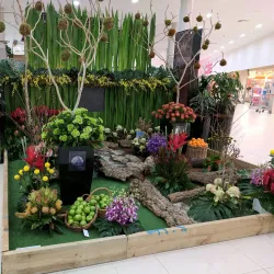 Belmont City Centre - Belmont