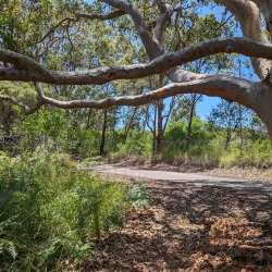 Belmont Wetlands State Park - Belmont