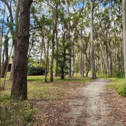 Belmont Wetlands State Park - Belmont