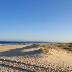 Belmont Wetlands State Park - Belmont