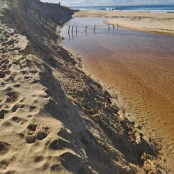 Belmont Wetlands State Park - Belmont