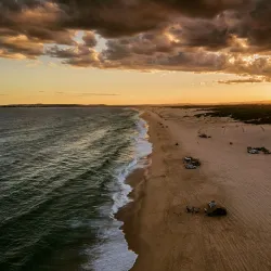 Belmont Wetlands State Park - Belmont
