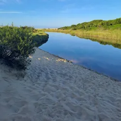 Belmont Wetlands State Park - Belmont