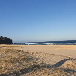 Belmont Wetlands State Park - Belmont