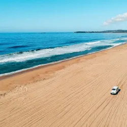Belmont Wetlands State Park - Belmont
