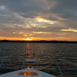 Pulbah Island Nature Reserve - Belmont