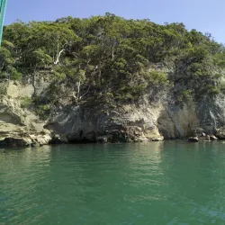 Pulbah Island Nature Reserve - Belmont