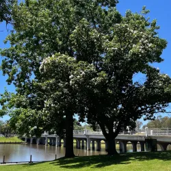 Benalla Art Gallery - Benalla