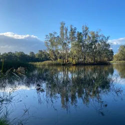Benalla Art Gallery - Benalla
