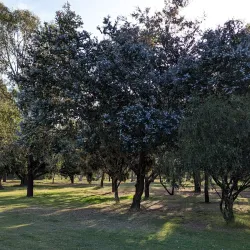 Benalla Golf Club - Benalla