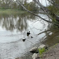 Lake Benalla - Benalla