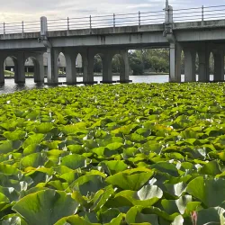 Lake Benalla - Benalla