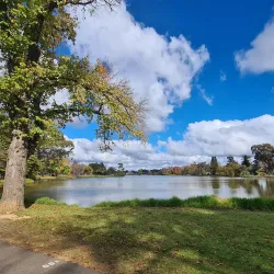Lake Weeroona - Bendigo