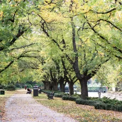 Rosalind Park - Bendigo