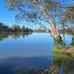Moorook Game Reserve - Berri