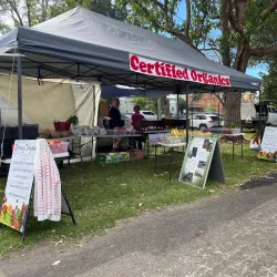 Berry Country Fair - Berry