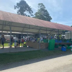 Berry Farmers Market - Berry