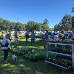 Berry Farmers Market - Berry