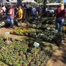 Berry Farmers Market - Berry