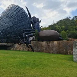 Jamberoo Action Park - Berry