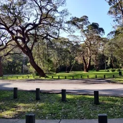 Seven Mile Beach National Park - Berry