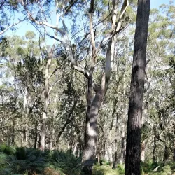 Seven Mile Beach National Park - Berry