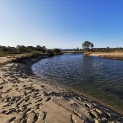Seven Mile Beach National Park - Berry
