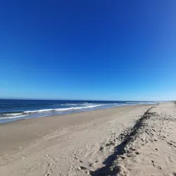Seven Mile Beach National Park - Berry