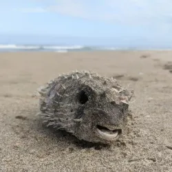 Seven Mile Beach National Park - Berry