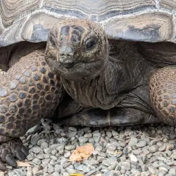 Shoalhaven Zoo - Berry