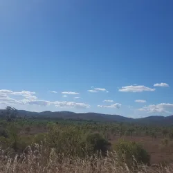 Biloela Art Gallery - Biloela