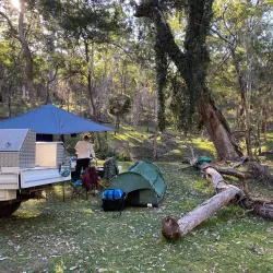 Kroombit Tops National Park - Biloela