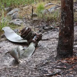 Kroombit Tops National Park - Biloela