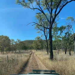 Kroombit Tops National Park - Biloela
