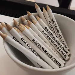 Blacktown Arts Centre - Blacktown