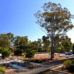 Blacktown Showground Markets - Blacktown
