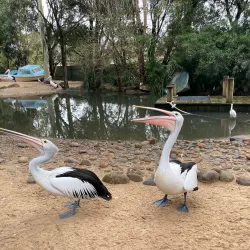 Featherdale Sydney Wildlife Park - Blacktown