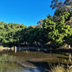 Nurragingy Reserve - Blacktown
