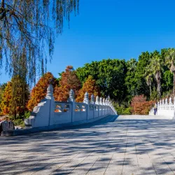 Nurragingy Reserve - Blacktown