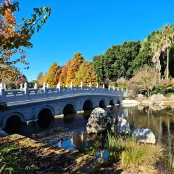 Nurragingy Reserve - Blacktown