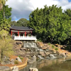 Nurragingy Reserve - Blacktown