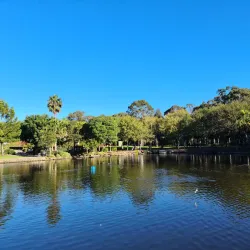 Nurragingy Reserve - Blacktown