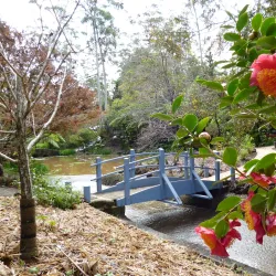 Boonah Botanic Gardens - Boonah